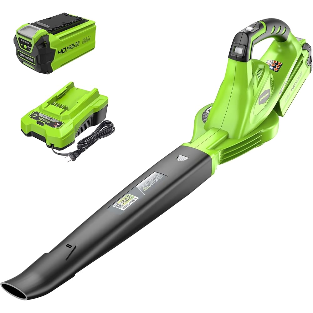 Greenworks 40V Leaf Blower/Sweeper, 150 MPH, Lightweight, Quiet, with 2.0 Ah Battery and Charger, Perfect for Residential Lawn Care, Leaf Blowing Debris, Dust, Light Snow, and More